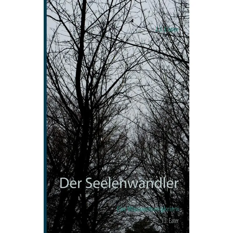 Der Seelenwandler