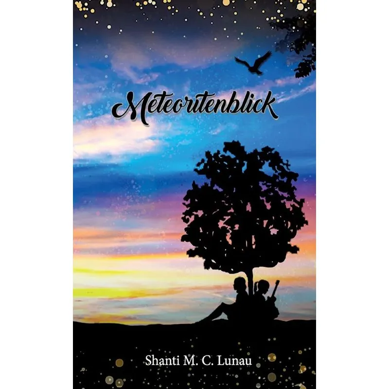 Meteoritenblick