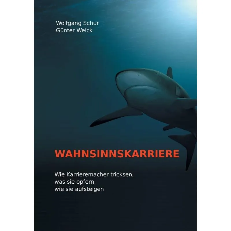 Wahnsinnskarriere