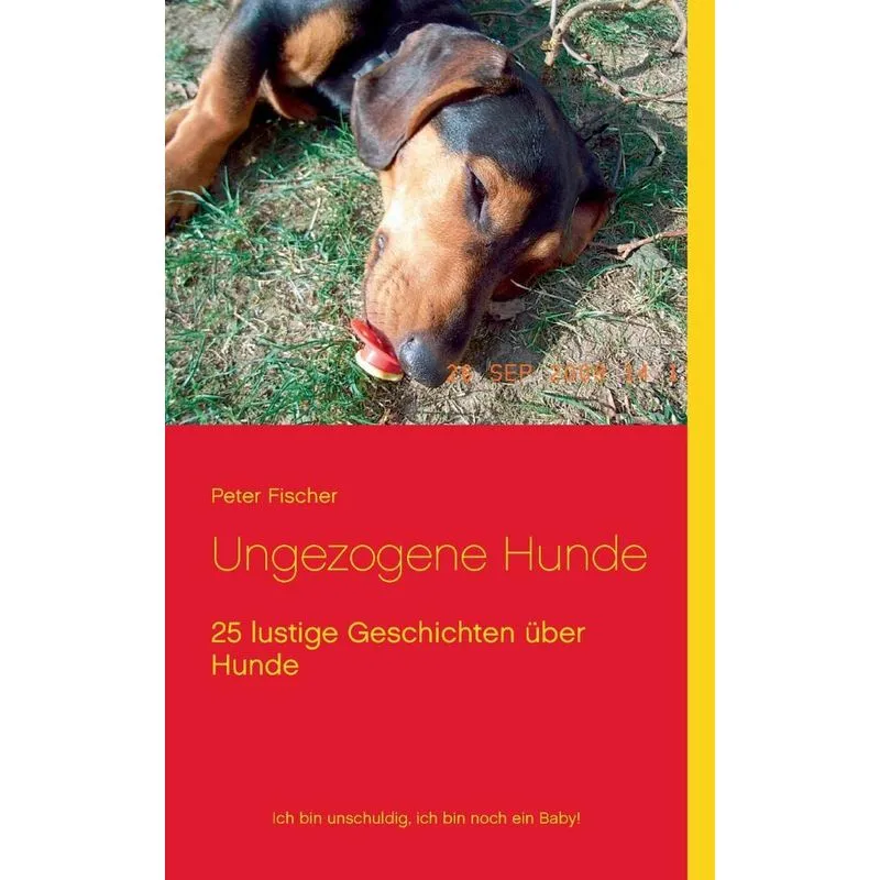 Ungezogene Hunde