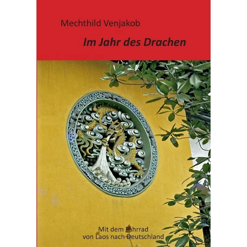 Im Jahr des Drachen