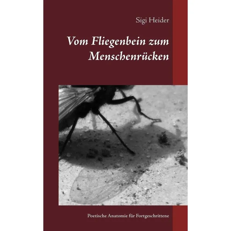 Vom Fliegenbein zum Menschenrücken