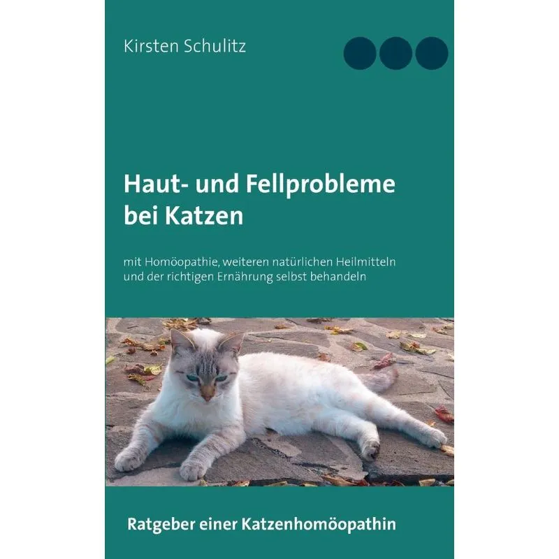 Haut- und Fellprobleme bei Katzen