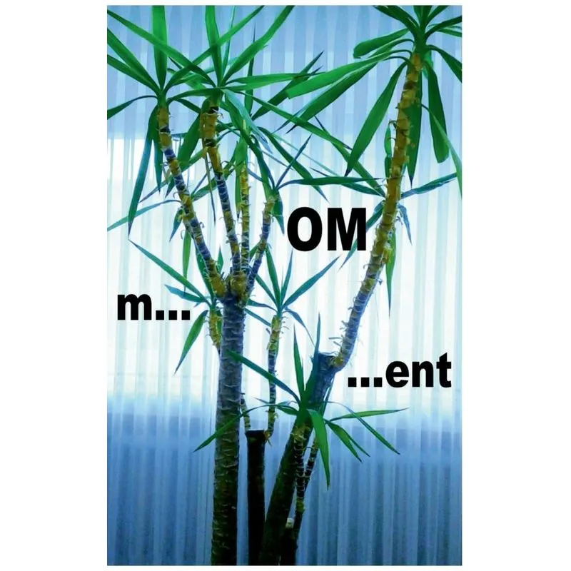 m...OM...ent