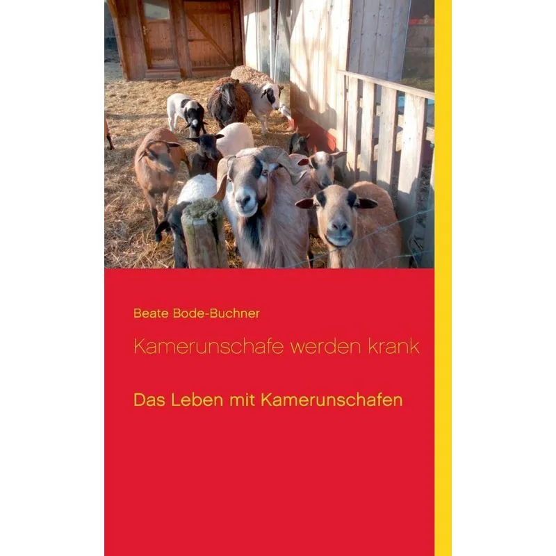 Kamerunschafe werden krank