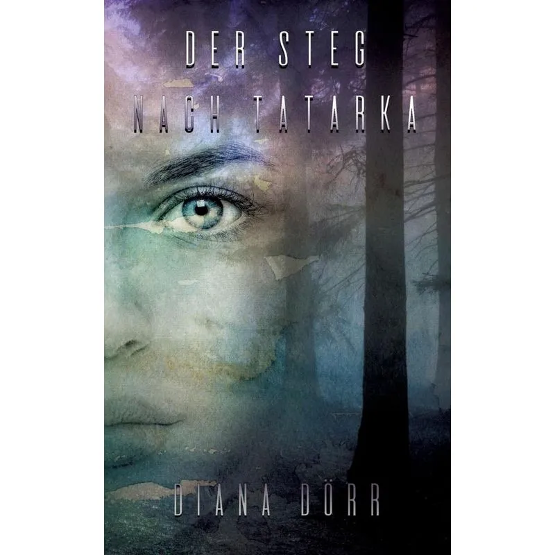 Der Steg nach Tatarka
