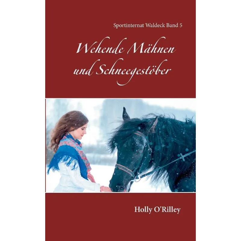 Wehende Mähnen und Schneegestöber