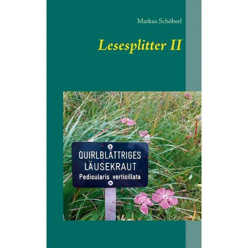 Lesesplitter II