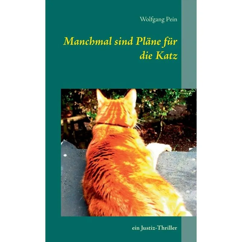 Manchmal sind Pläne für die Katz