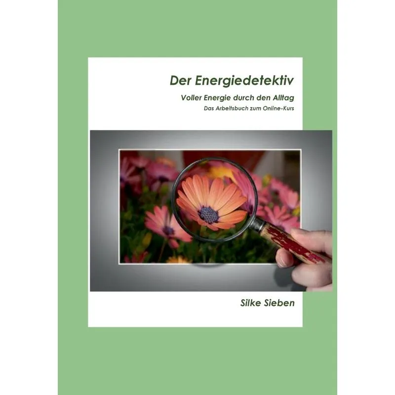 Der Energiedetektiv