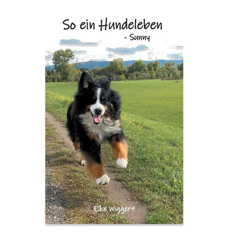So ein Hundeleben