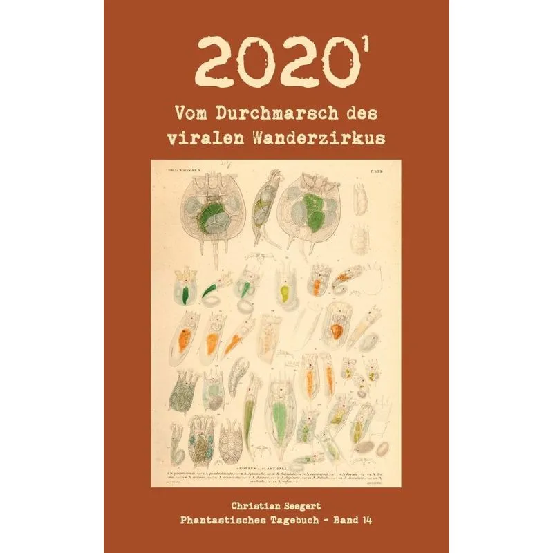 2020 (1)