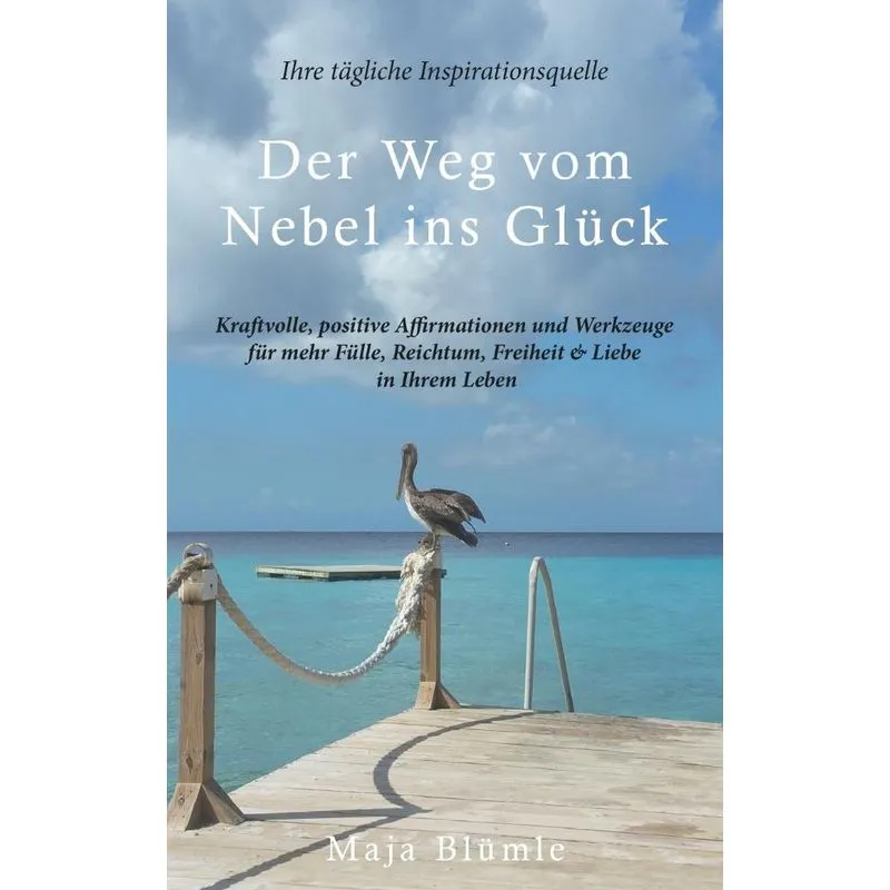 Der Weg Vom Nebel Ins Glück