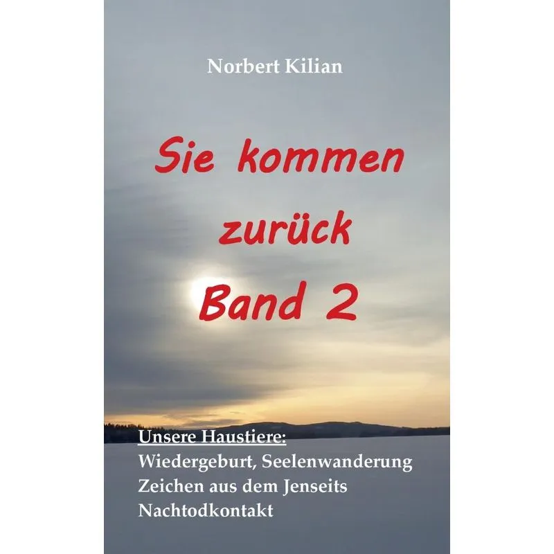 Sie kommen zurück Band 2