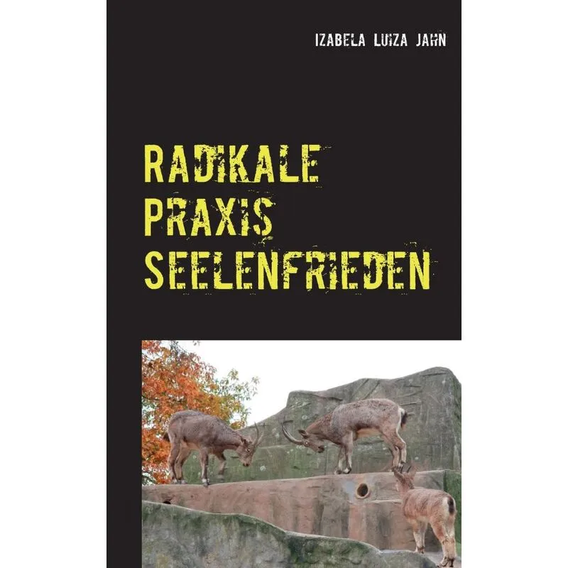 Radikale Praxis Seelenfrieden