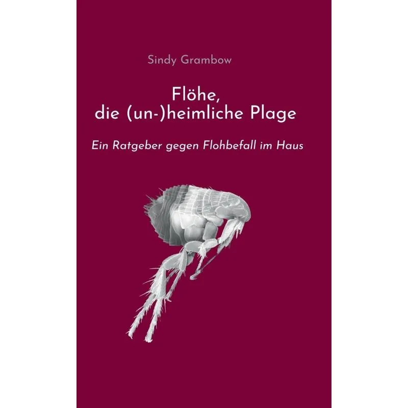 Flöhe, die (un-)heimliche Plage