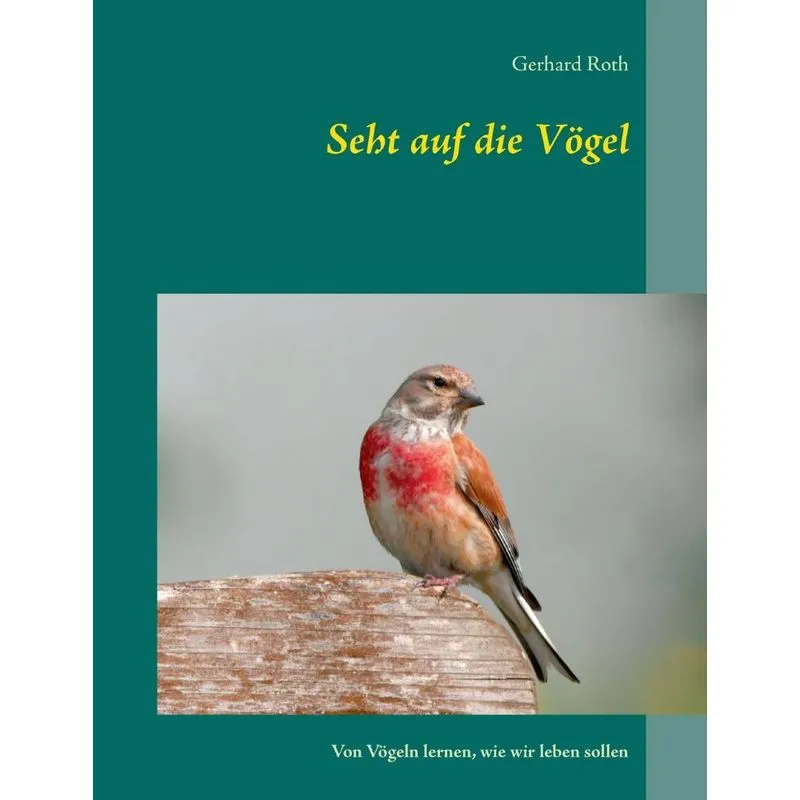Seht auf die Voegel