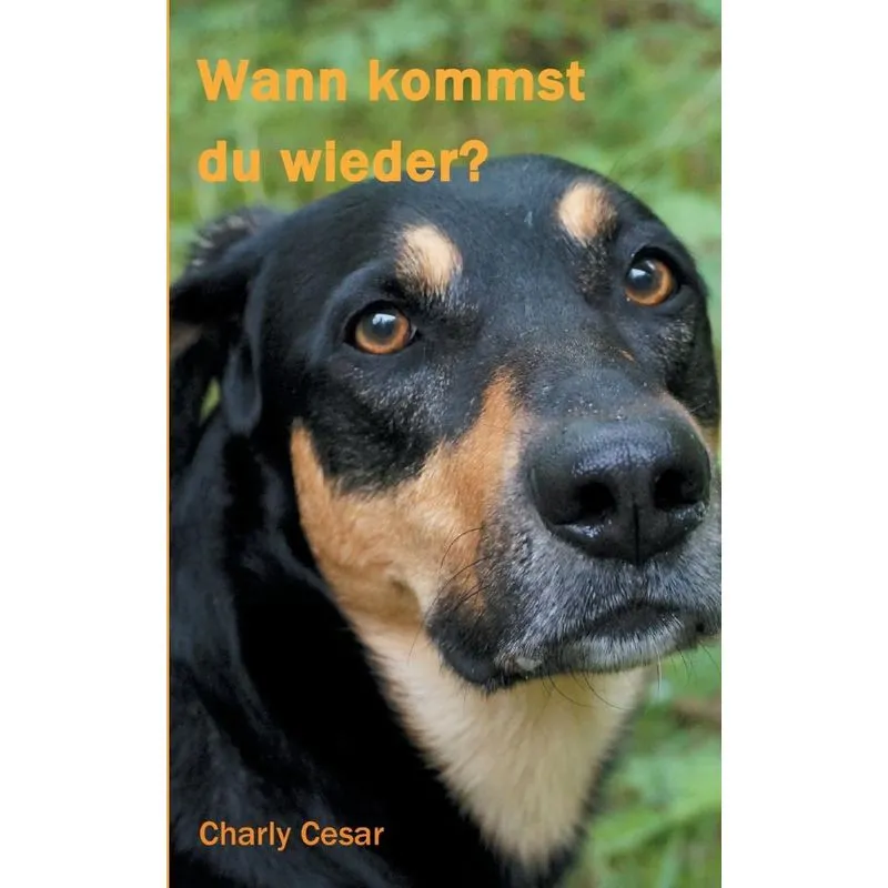 Wann kommst du wieder?