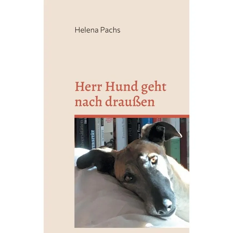 Herr Hund geht nach draußen