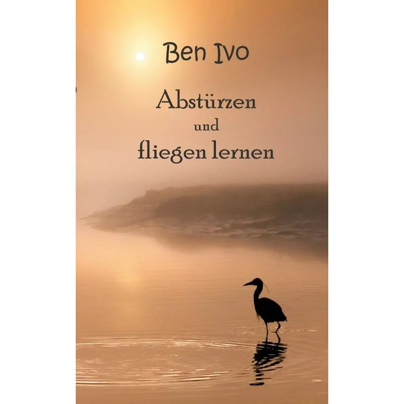 Abstürzen und fliegen lernen