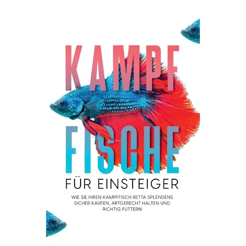 Kampffische für Einsteiger