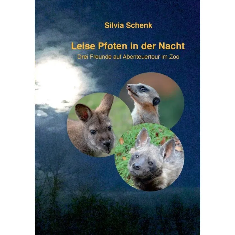 Leise Pfoten In Der Nacht