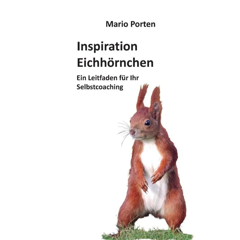 Inspiration Eichhörnchen
