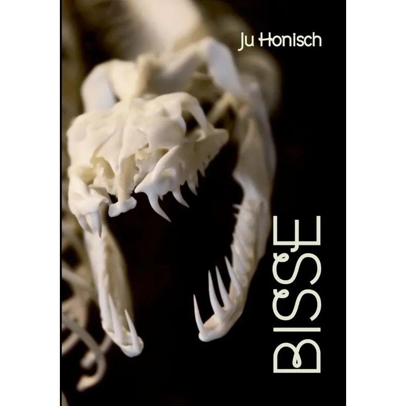 Bisse