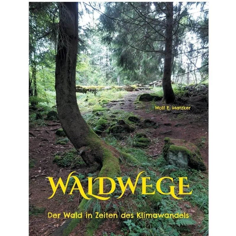 Waldwege