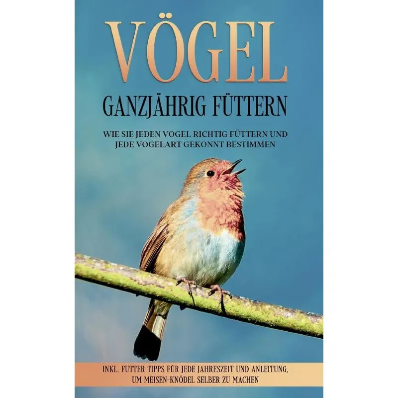 Vögel ganzjährig füttern