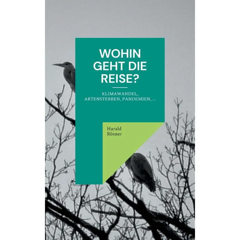 Wohin Geht Die Reise?
