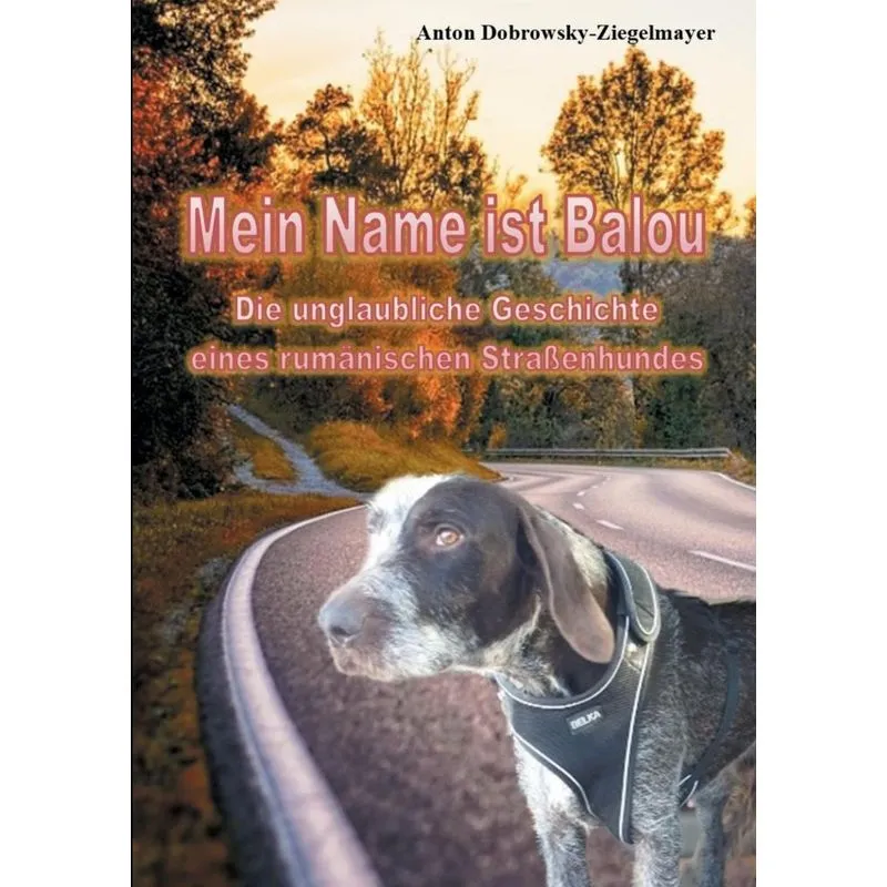 Mein Name ist Balou