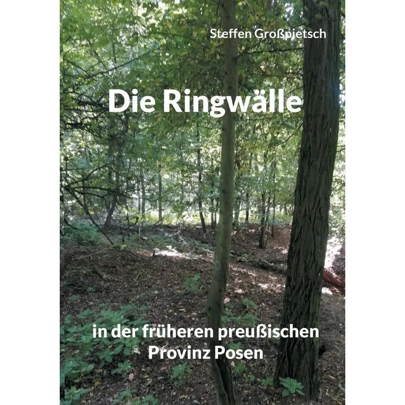 Die Ringwälle