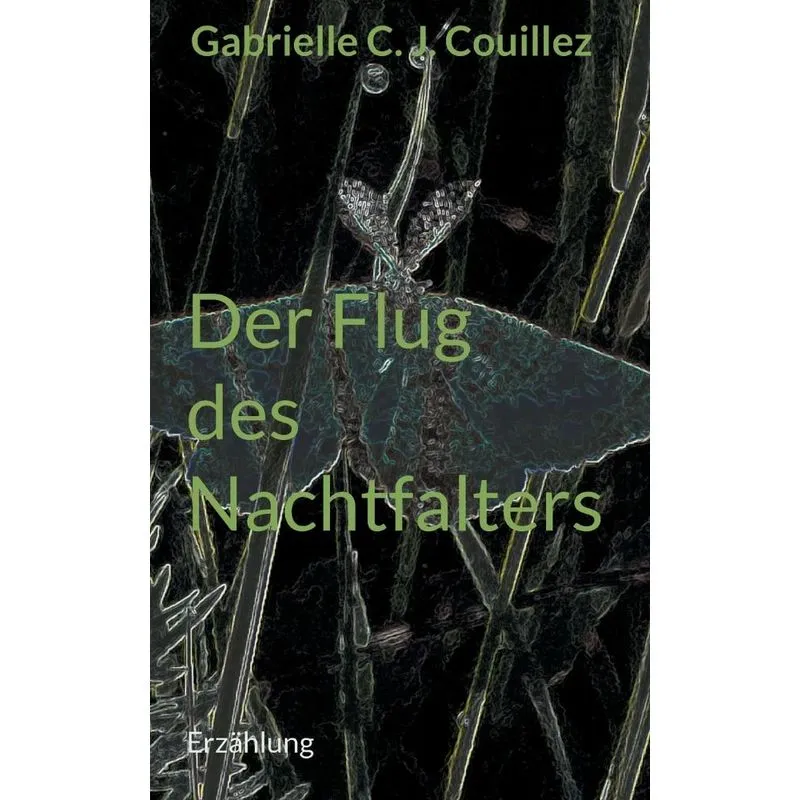 Der Flug Des Nachtfalters