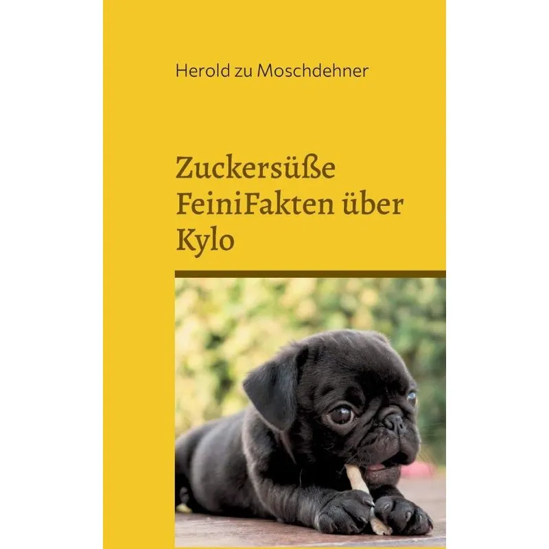 Zuckersüße Feinifakten Über Kylo