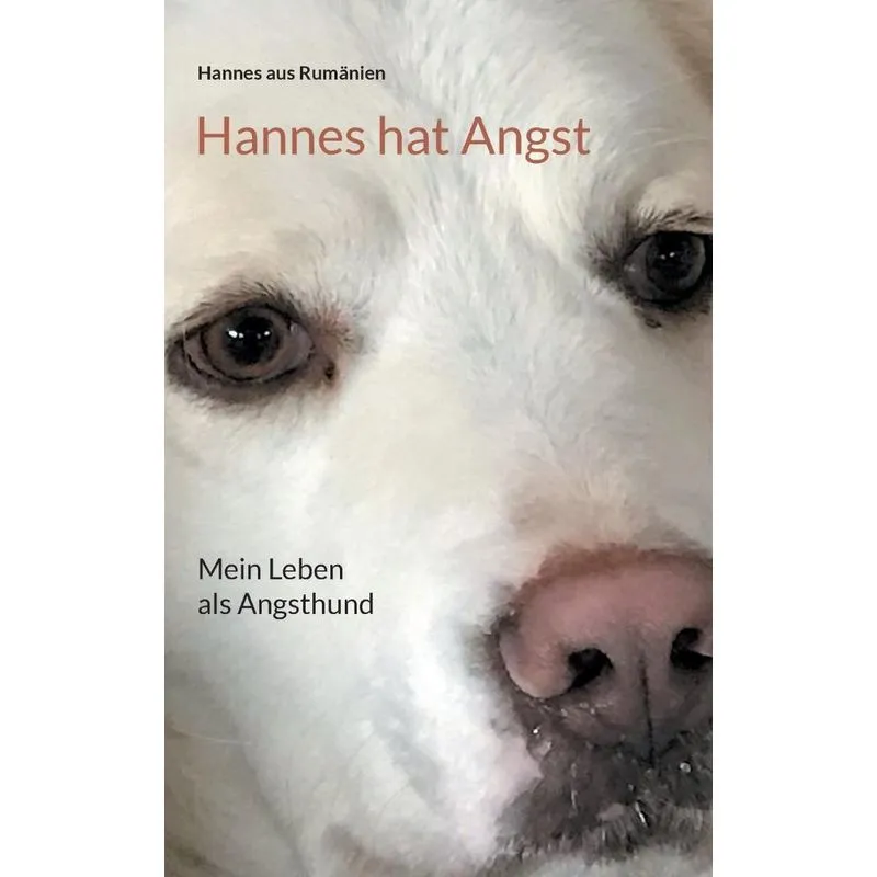Hannes Hat Angst