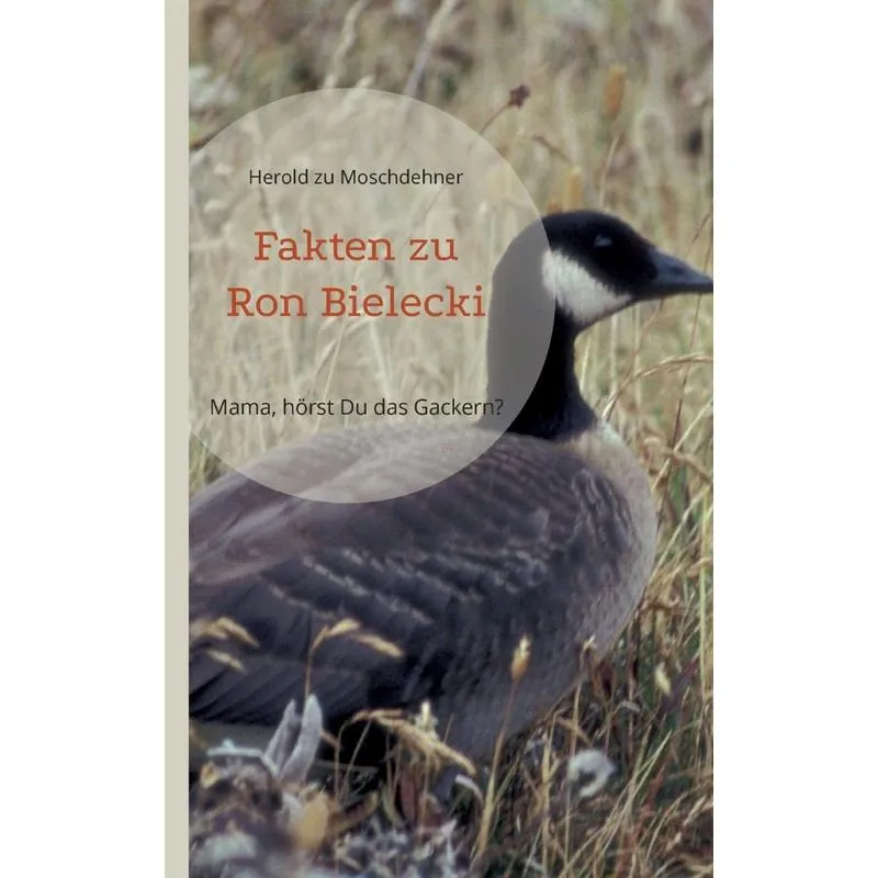 Fakten Zu Ron Bielecki