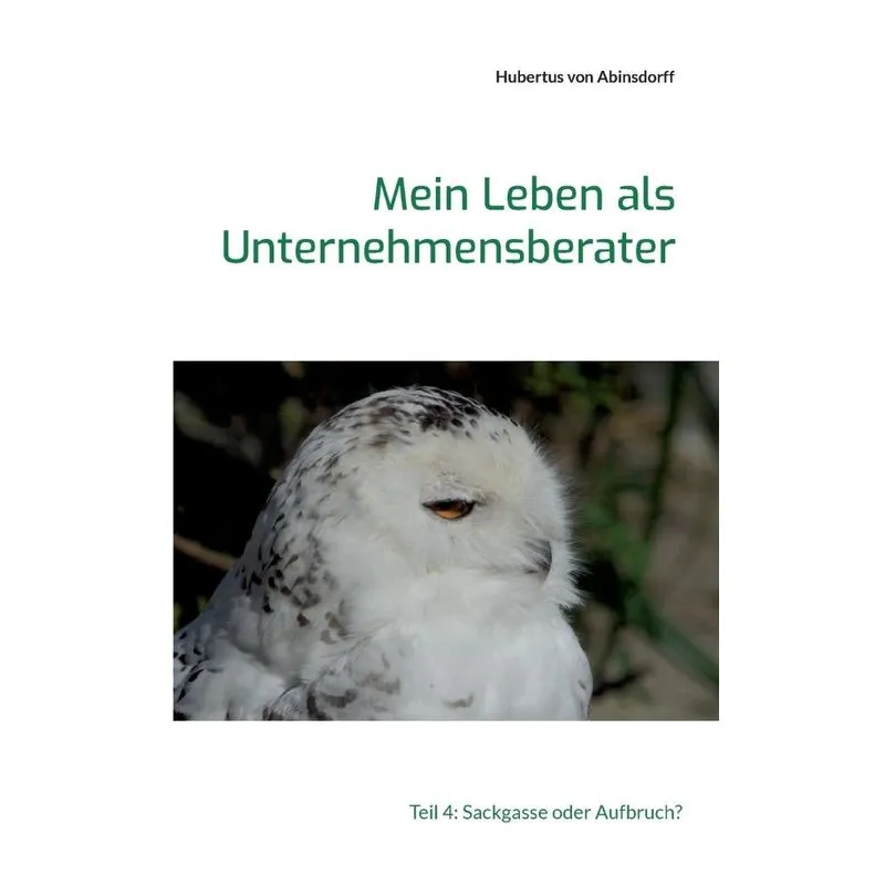 Mein Leben Als Unternehmensberater