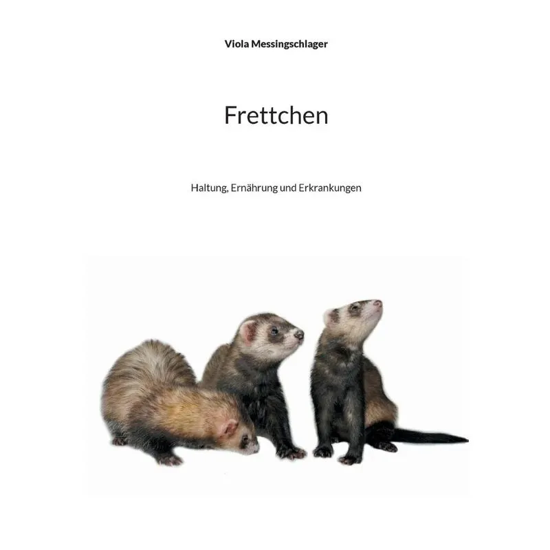 Frettchen