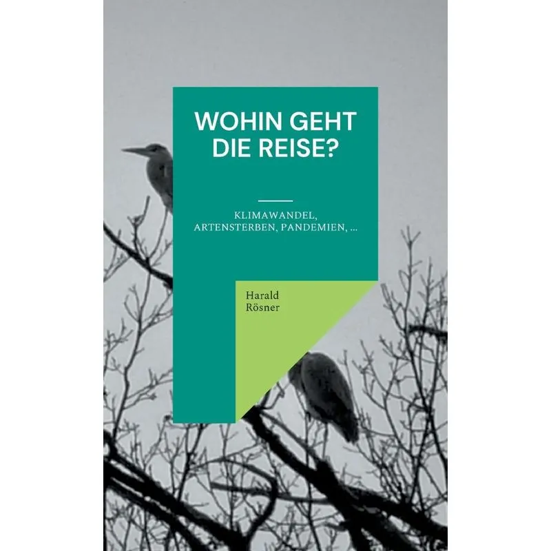 Wohin Geht Die Reise?