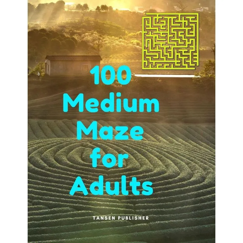 100 Medium Maze For Adults