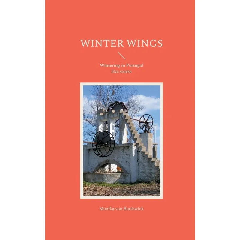 Winter Wings