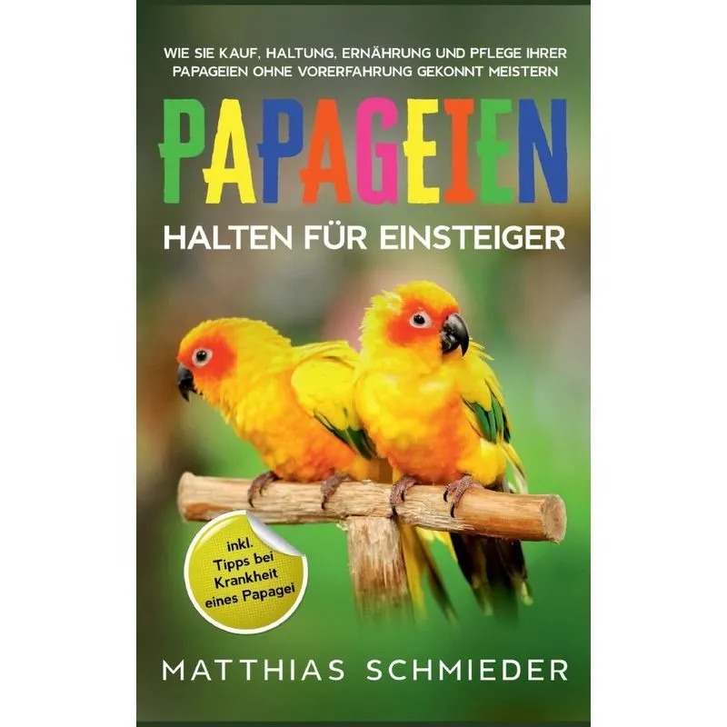 Papageien Halten Für Einsteiger