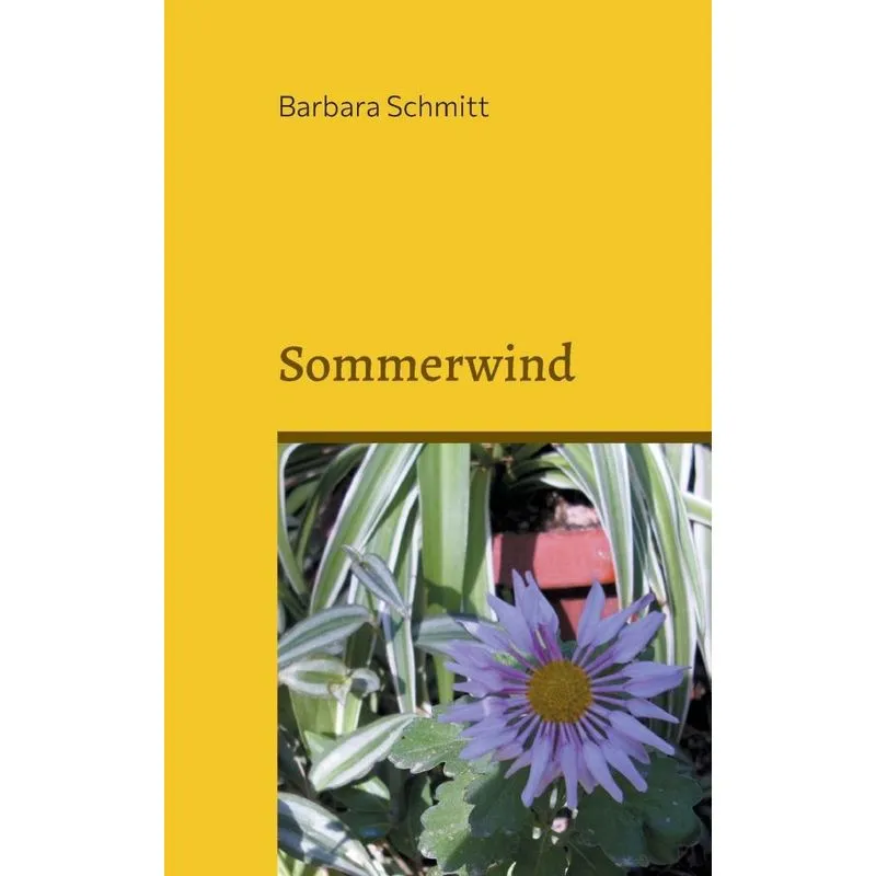 Sommerwind
