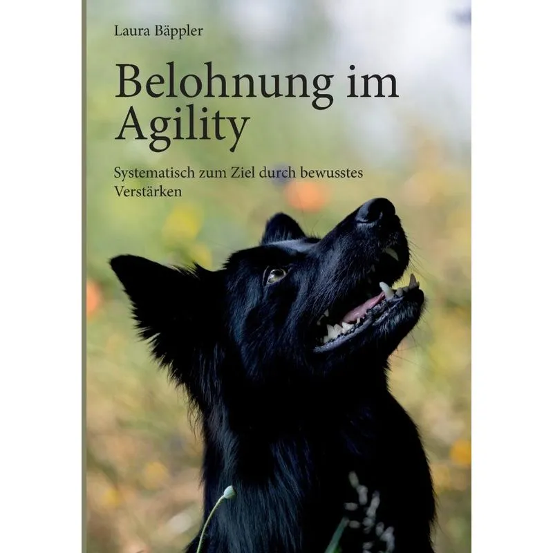 Belohnung Im Agility