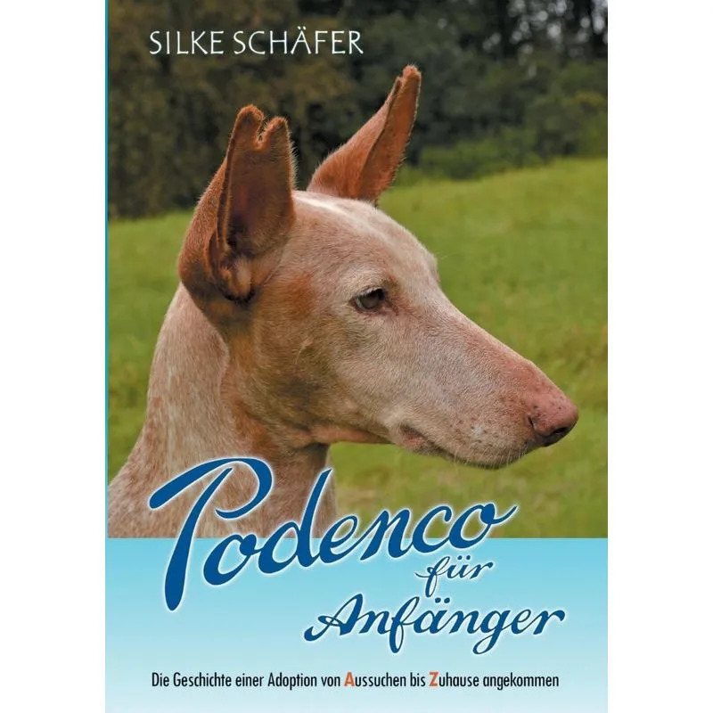 Podenco Für Anfänger
