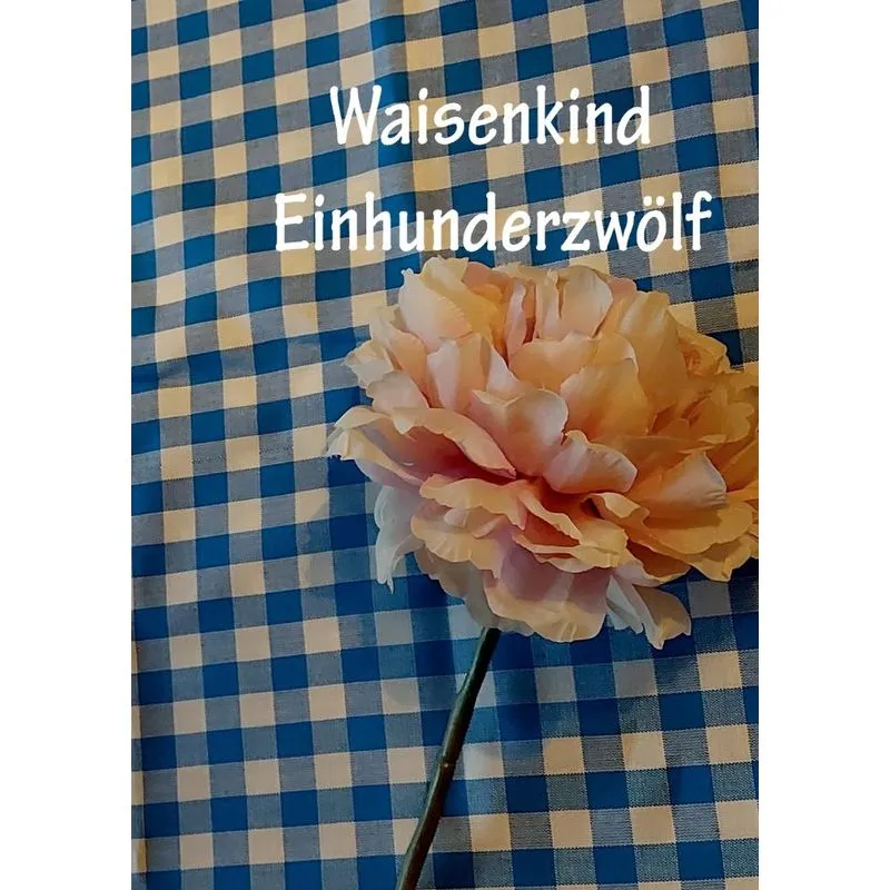 Waisenkind Einhundertzwölf