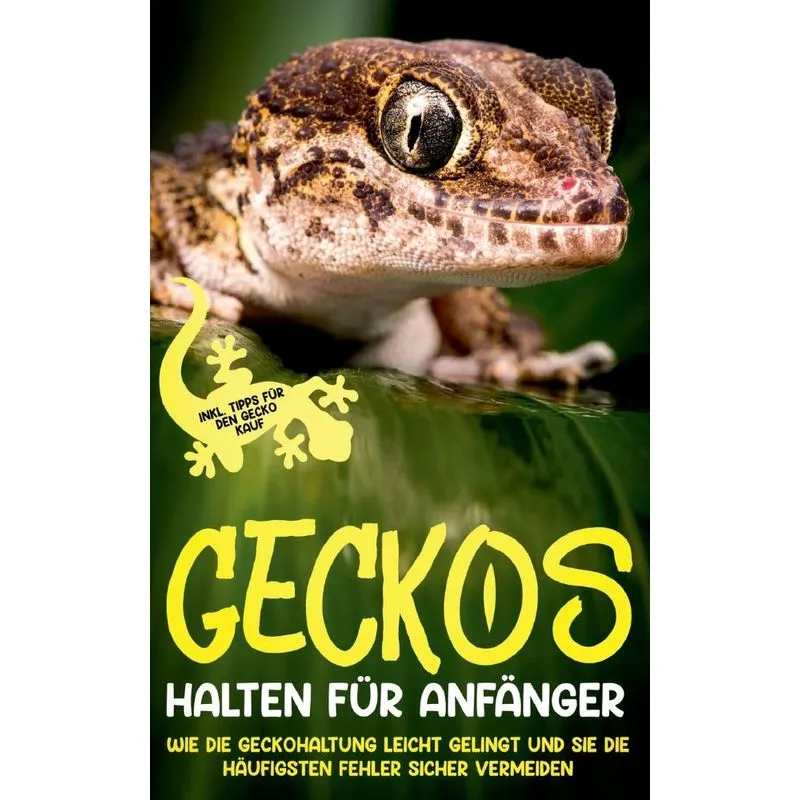 Geckos Halten Für Anfänger