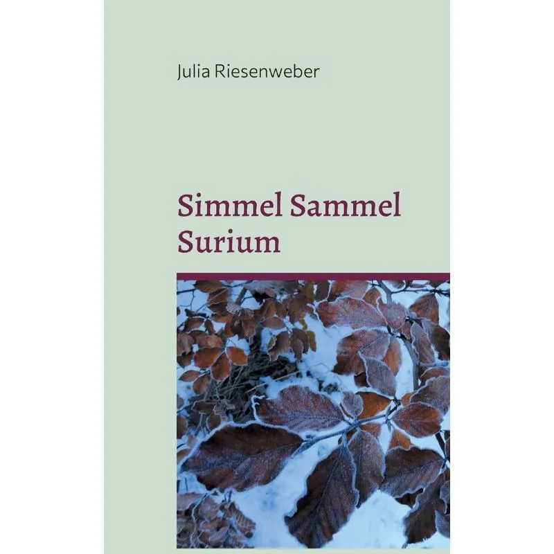 Simmel Sammel Surium