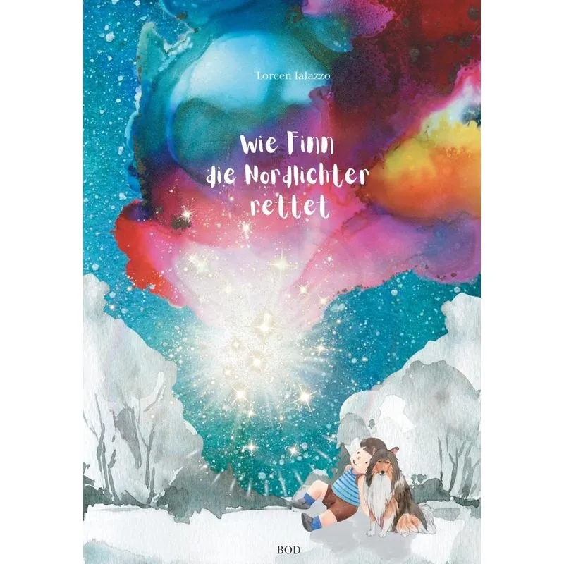 Wie Finn Die Nordlichter Rettet
